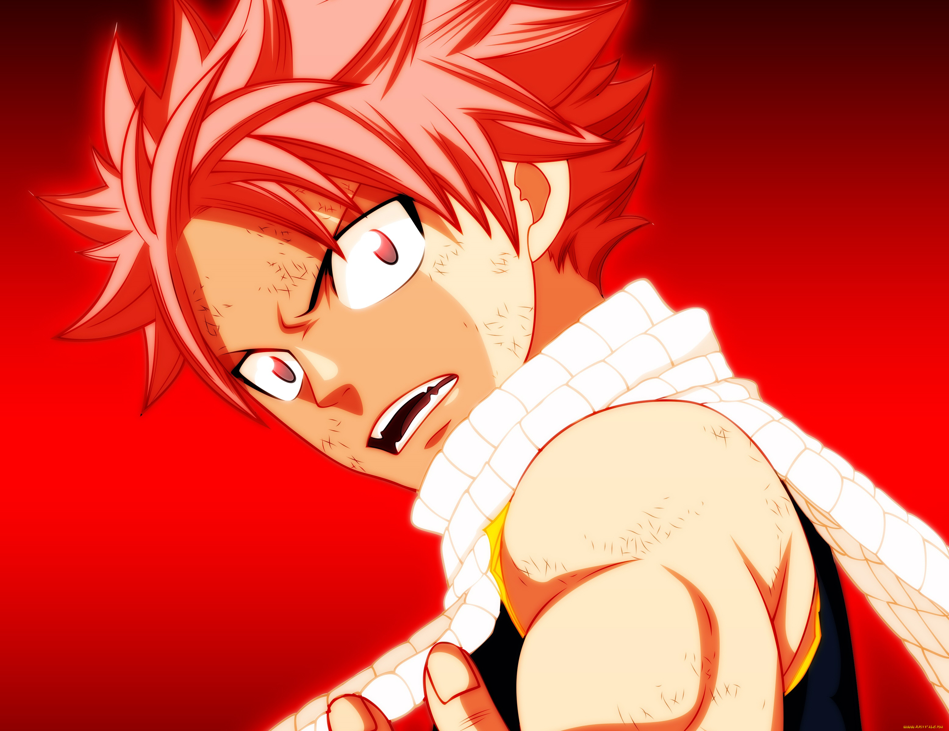 , fairy tail, 